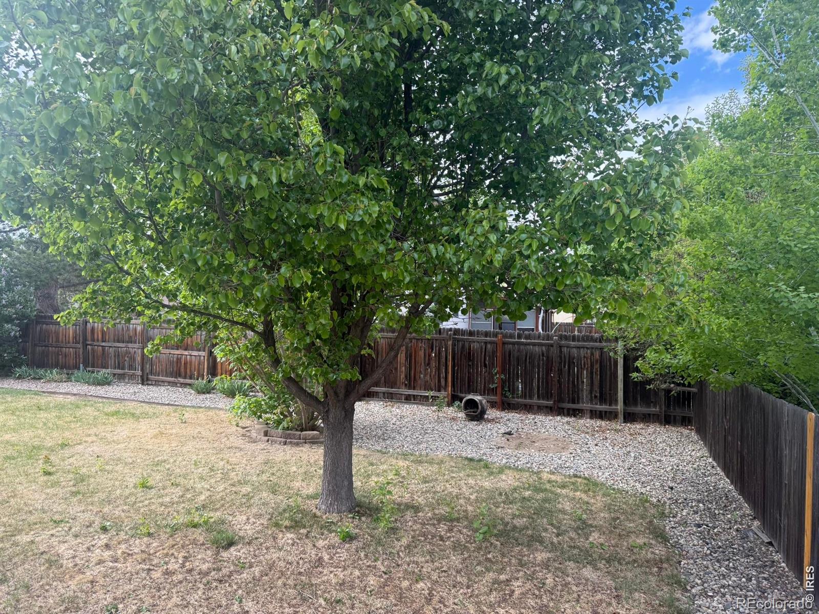 MLS Image #23 for 1044  blue spruce drive,loveland, Colorado