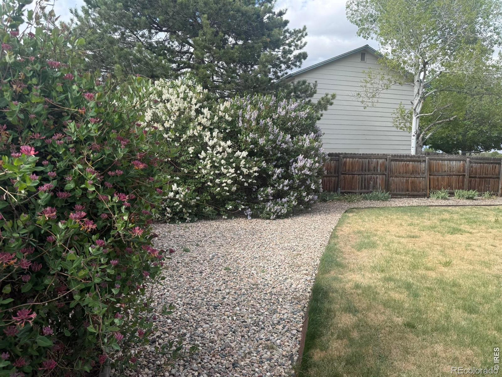 MLS Image #26 for 1044  blue spruce drive,loveland, Colorado