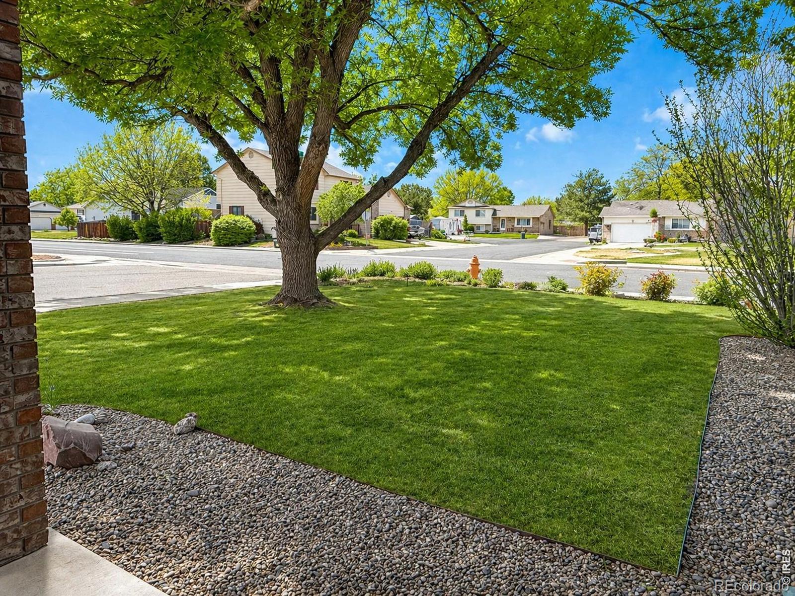 MLS Image #3 for 1044  blue spruce drive,loveland, Colorado