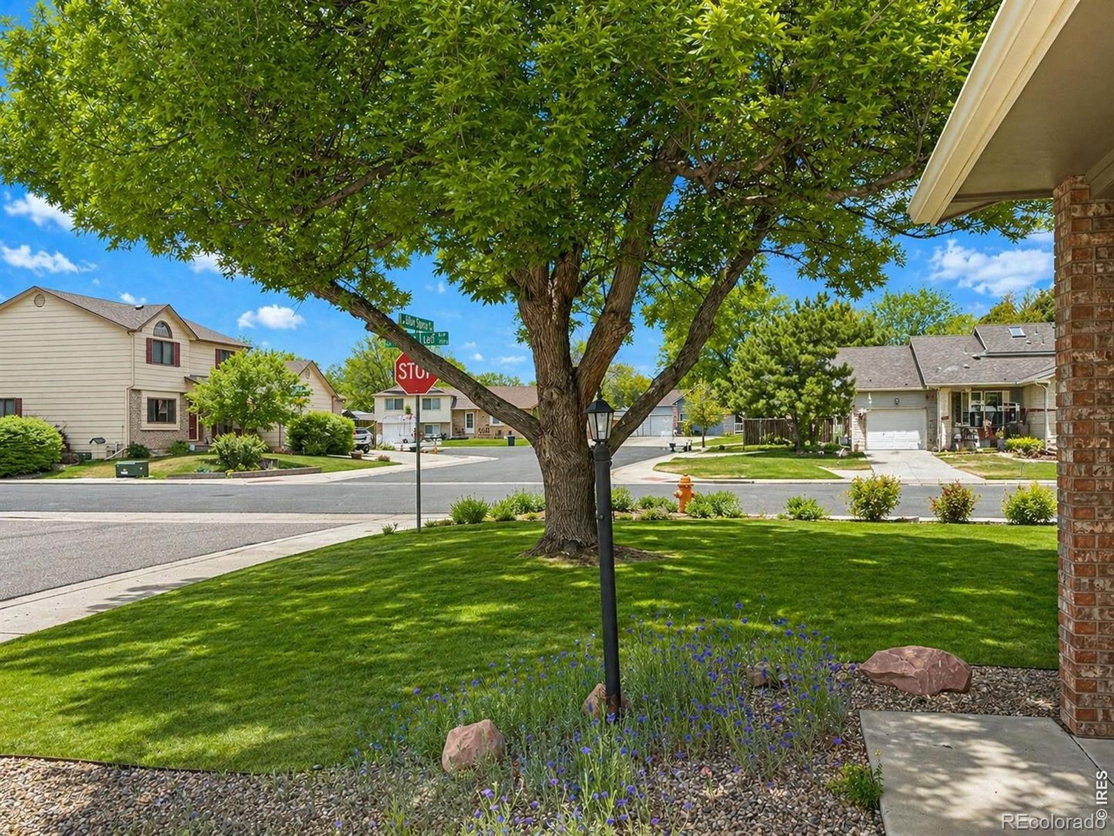 MLS Image #4 for 1044  blue spruce drive,loveland, Colorado