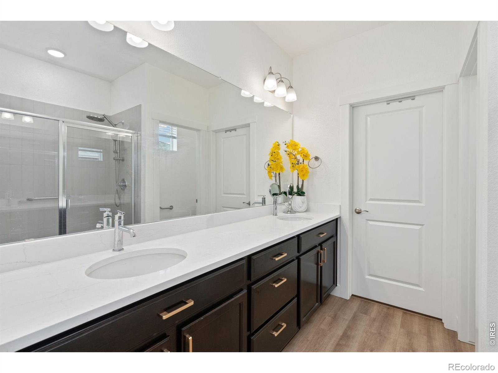 MLS Image #14 for 5063  mckinnon court,timnath, Colorado