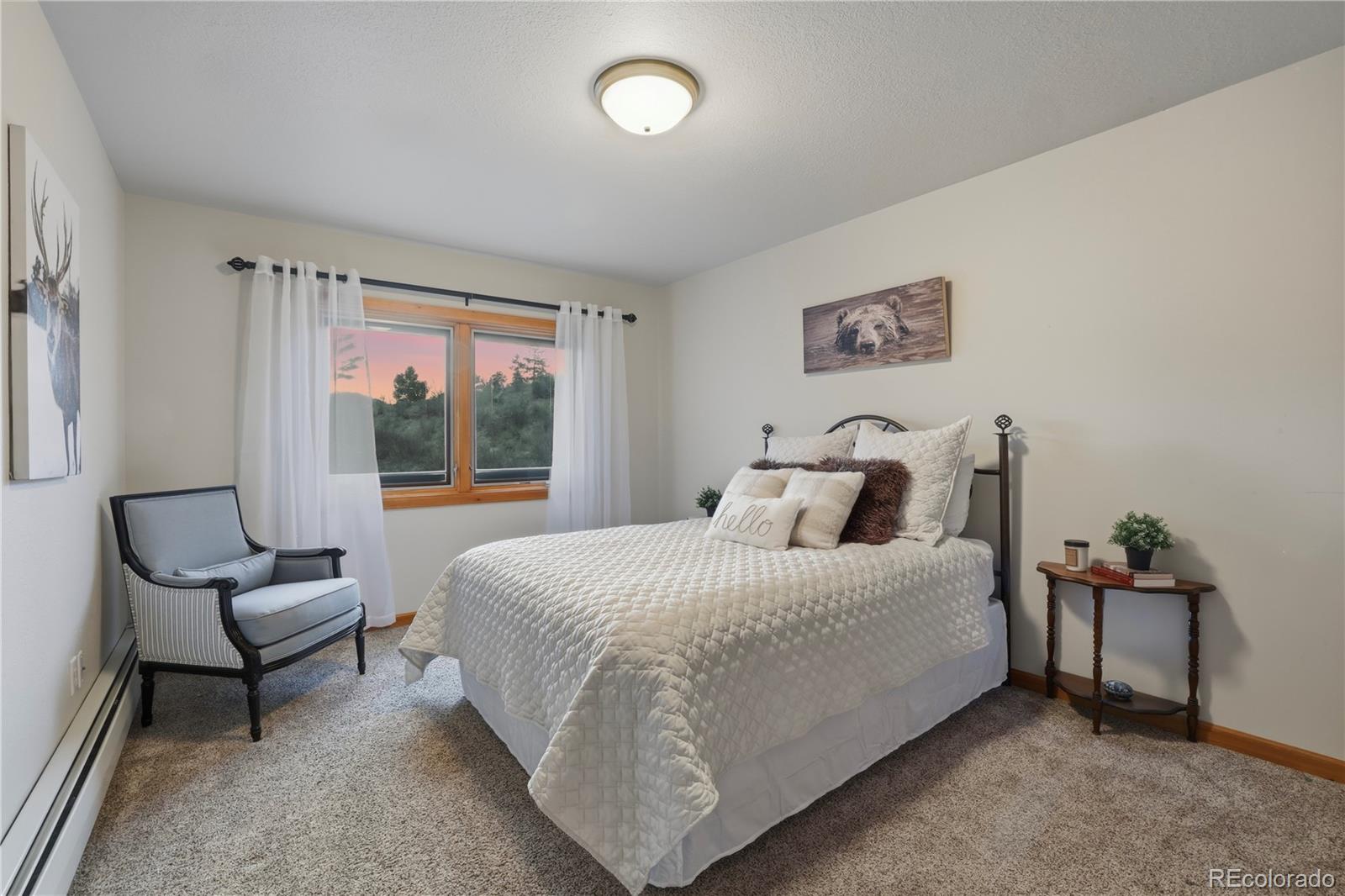 MLS Image #34 for 580  sunny glen court,woodland park, Colorado