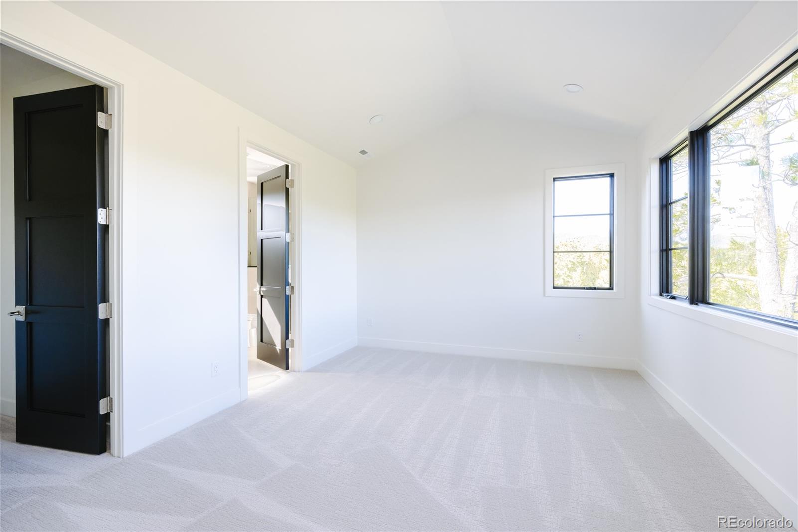 MLS Image #28 for 28158  lone elk trail,evergreen, Colorado