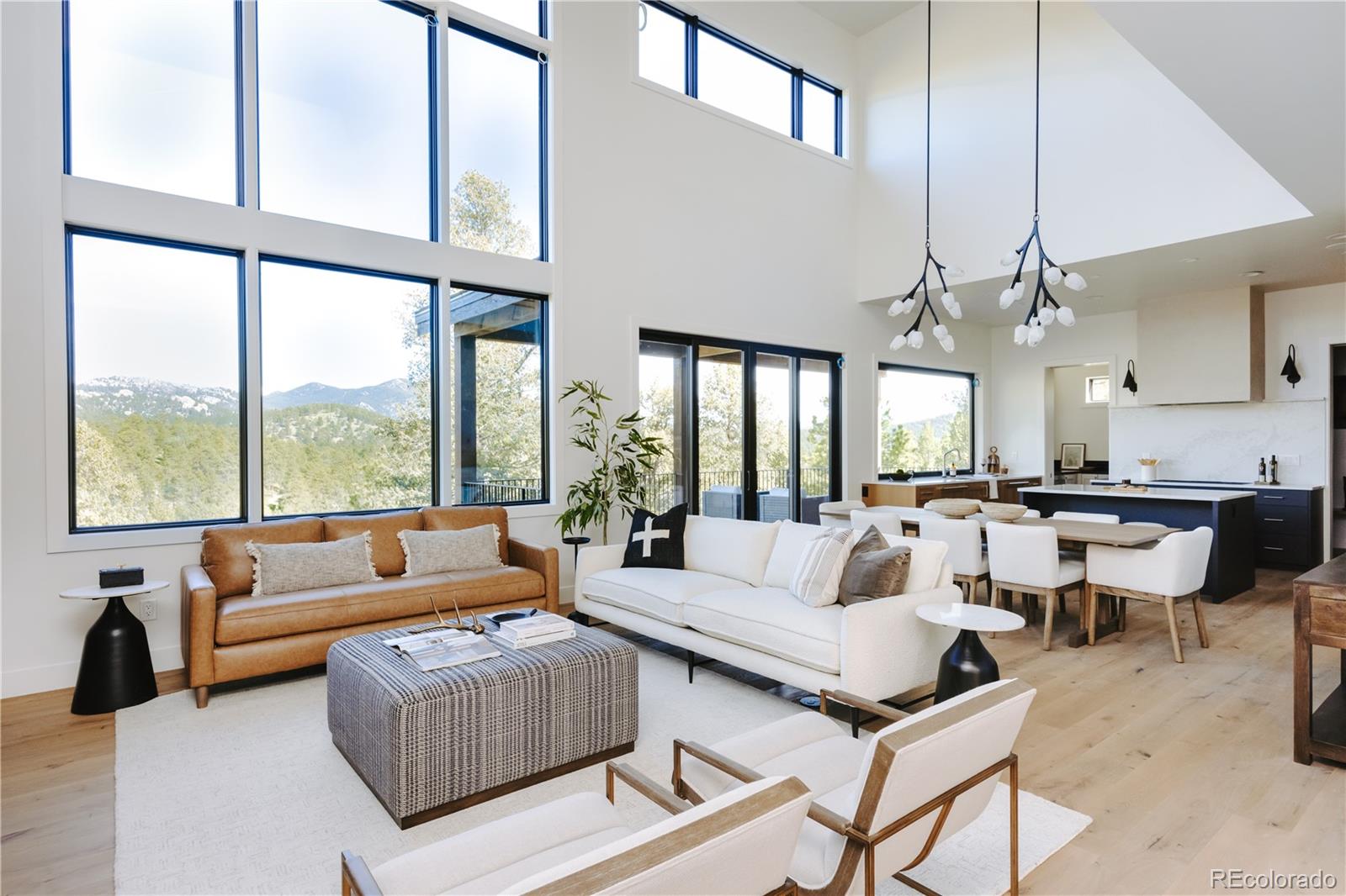 MLS Image #6 for 28158  lone elk trail,evergreen, Colorado