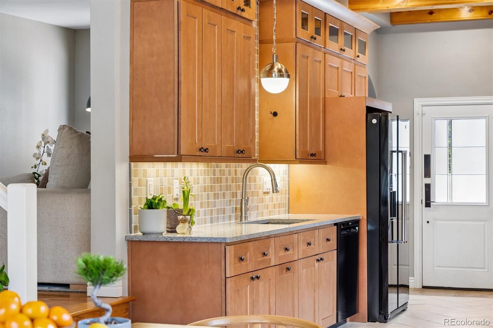 MLS Image #14 for 730  ivanhoe street,denver, Colorado