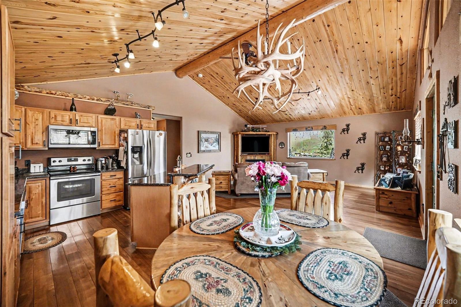 MLS Image #1 for 28  juniper way,bailey, Colorado