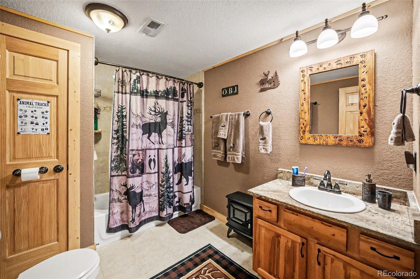MLS Image #16 for 28  juniper way,bailey, Colorado
