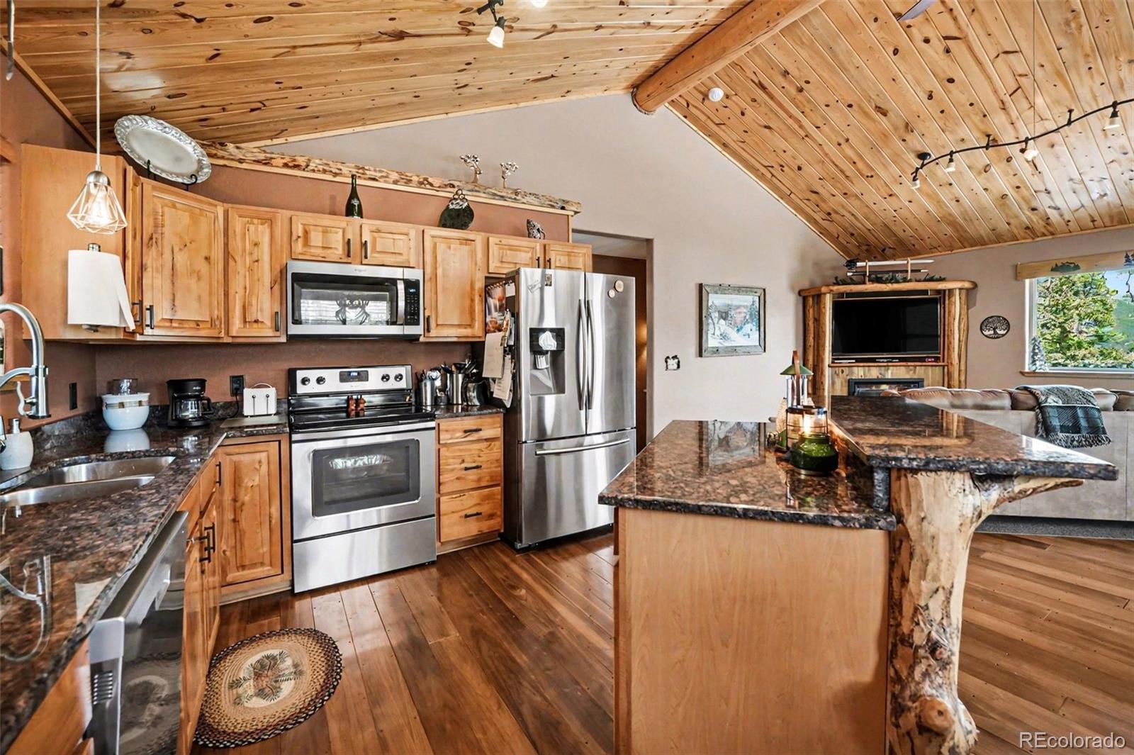MLS Image #2 for 28  juniper way,bailey, Colorado