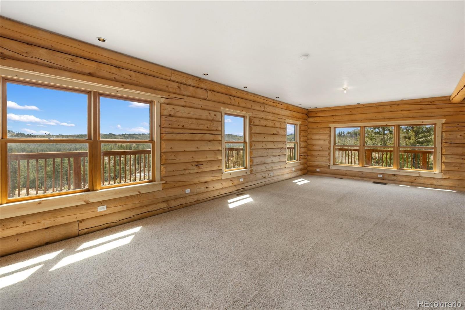 MLS Image #17 for 392  brooks lane,woodland park, Colorado