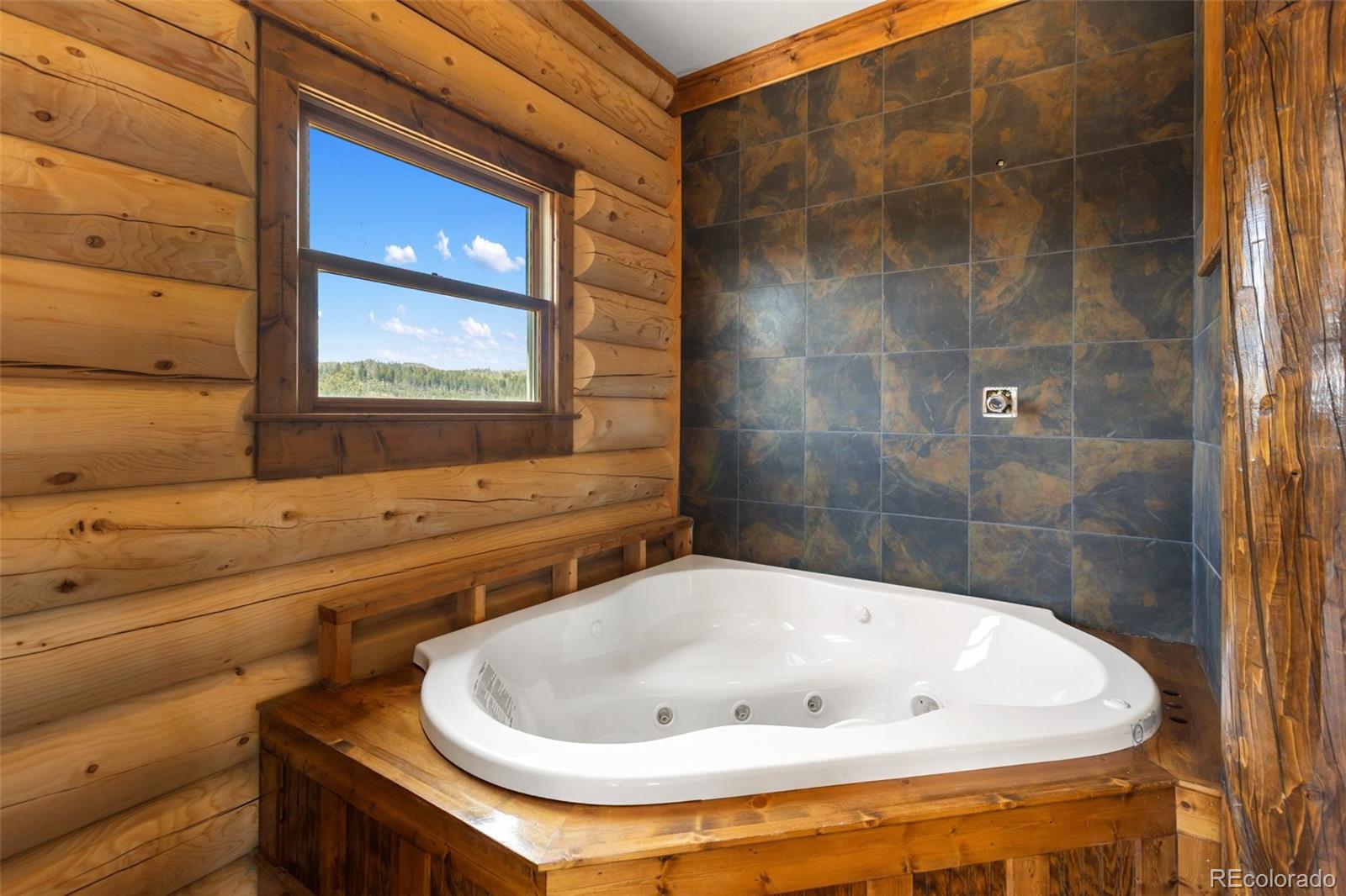 MLS Image #19 for 392  brooks lane,woodland park, Colorado