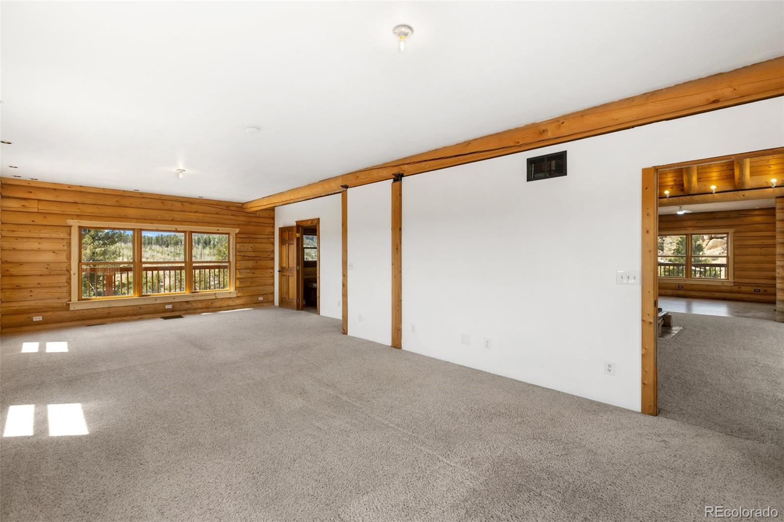 MLS Image #21 for 392  brooks lane,woodland park, Colorado