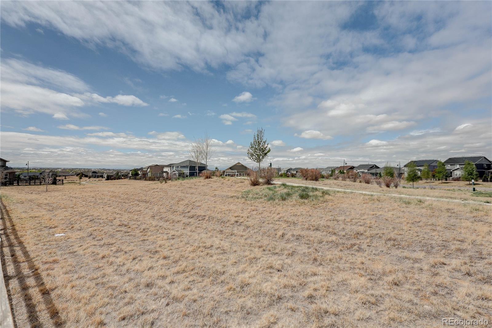 MLS Image #37 for 5217  inland avenue,firestone, Colorado