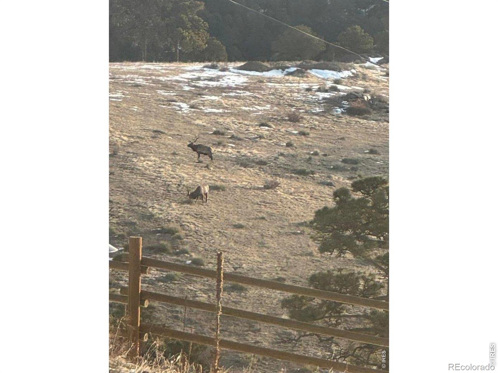 MLS Image #38 for 27033  thea gulch road,golden, Colorado