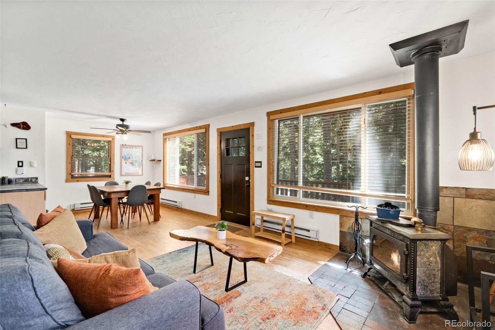 MLS Image #10 for 38  brook drive,idaho springs, Colorado