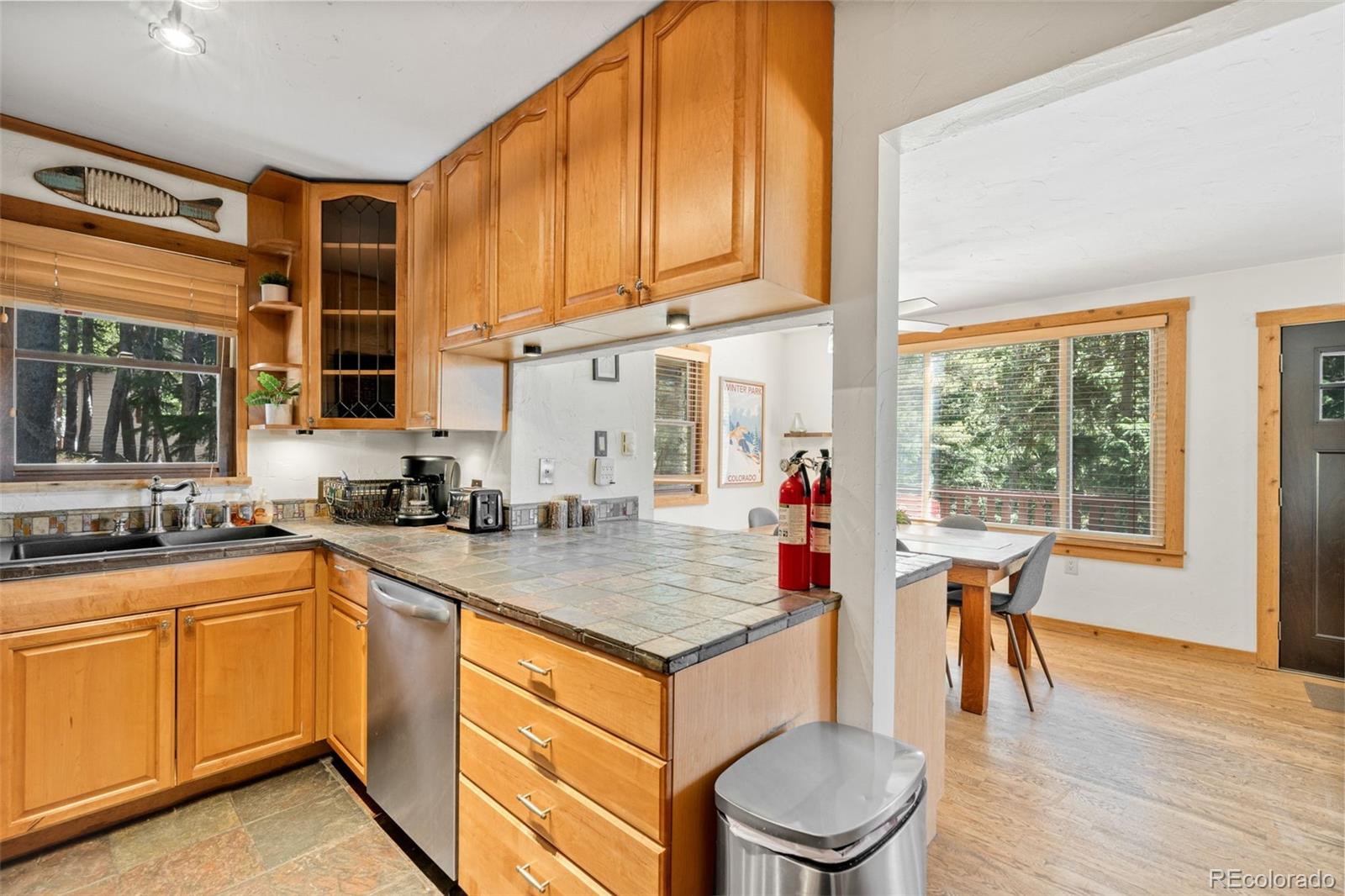 MLS Image #11 for 38  brook drive,idaho springs, Colorado