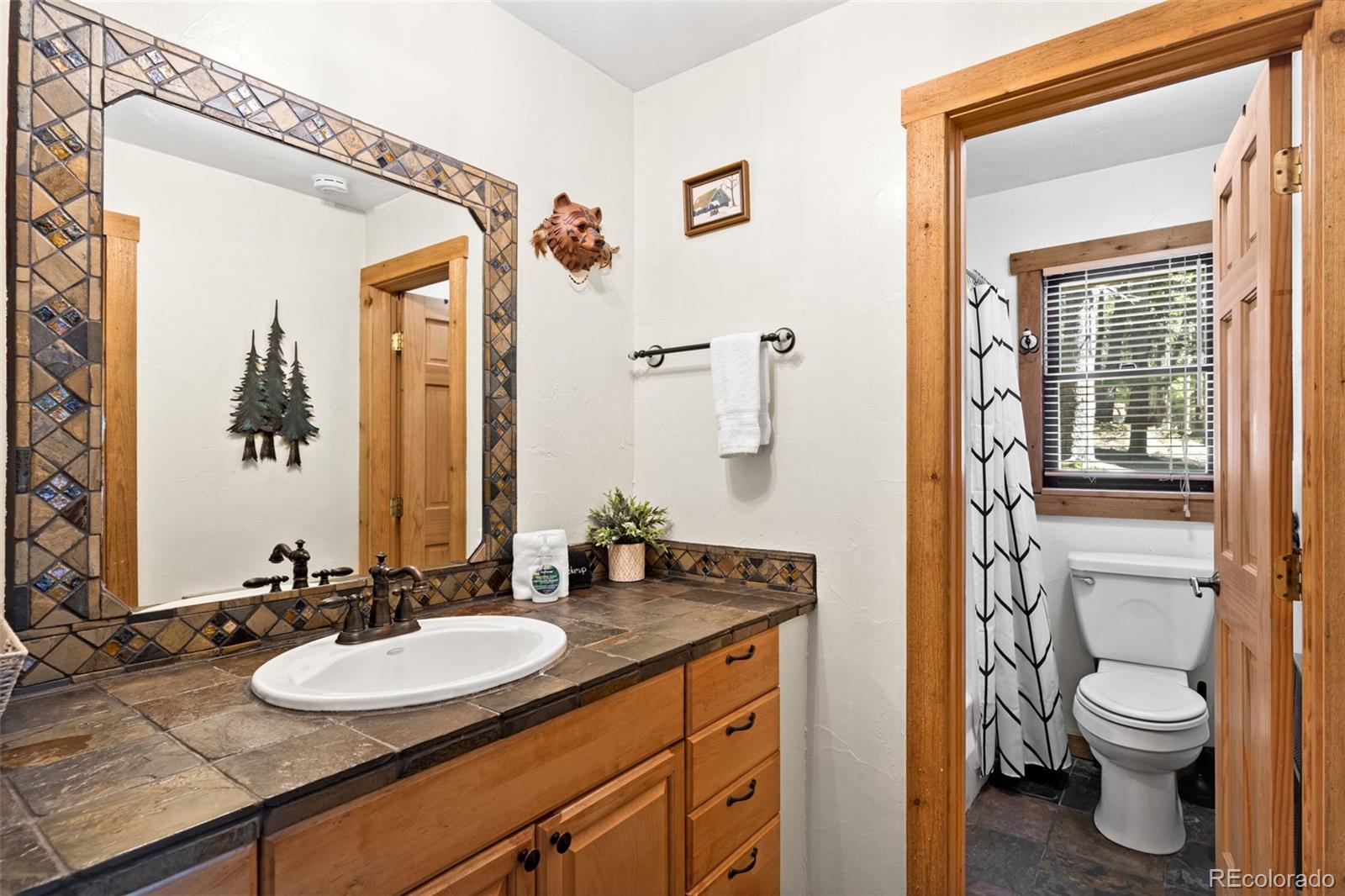 MLS Image #13 for 38  brook drive,idaho springs, Colorado