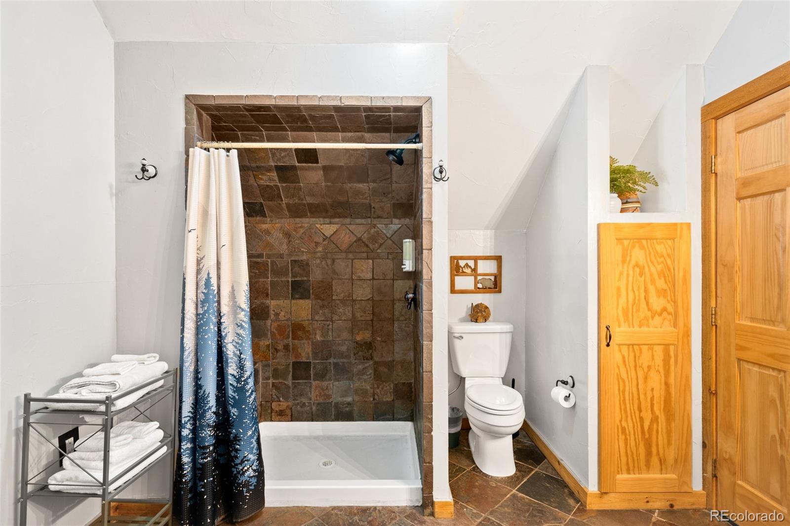 MLS Image #21 for 38  brook drive,idaho springs, Colorado