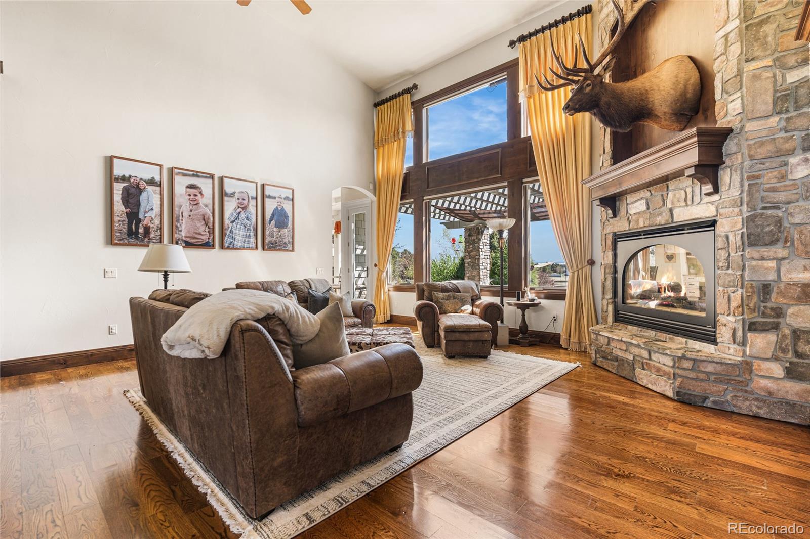 MLS Image #5 for 1489 e rim road,franktown, Colorado