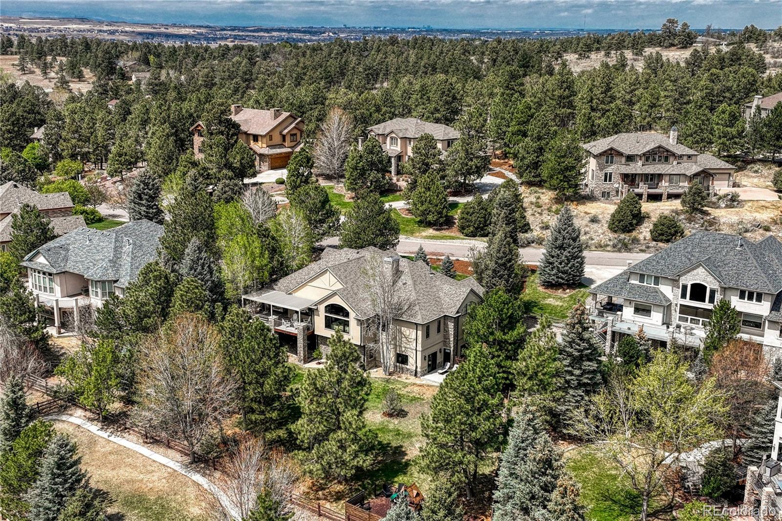 MLS Image #47 for 8422  gopher court,parker, Colorado