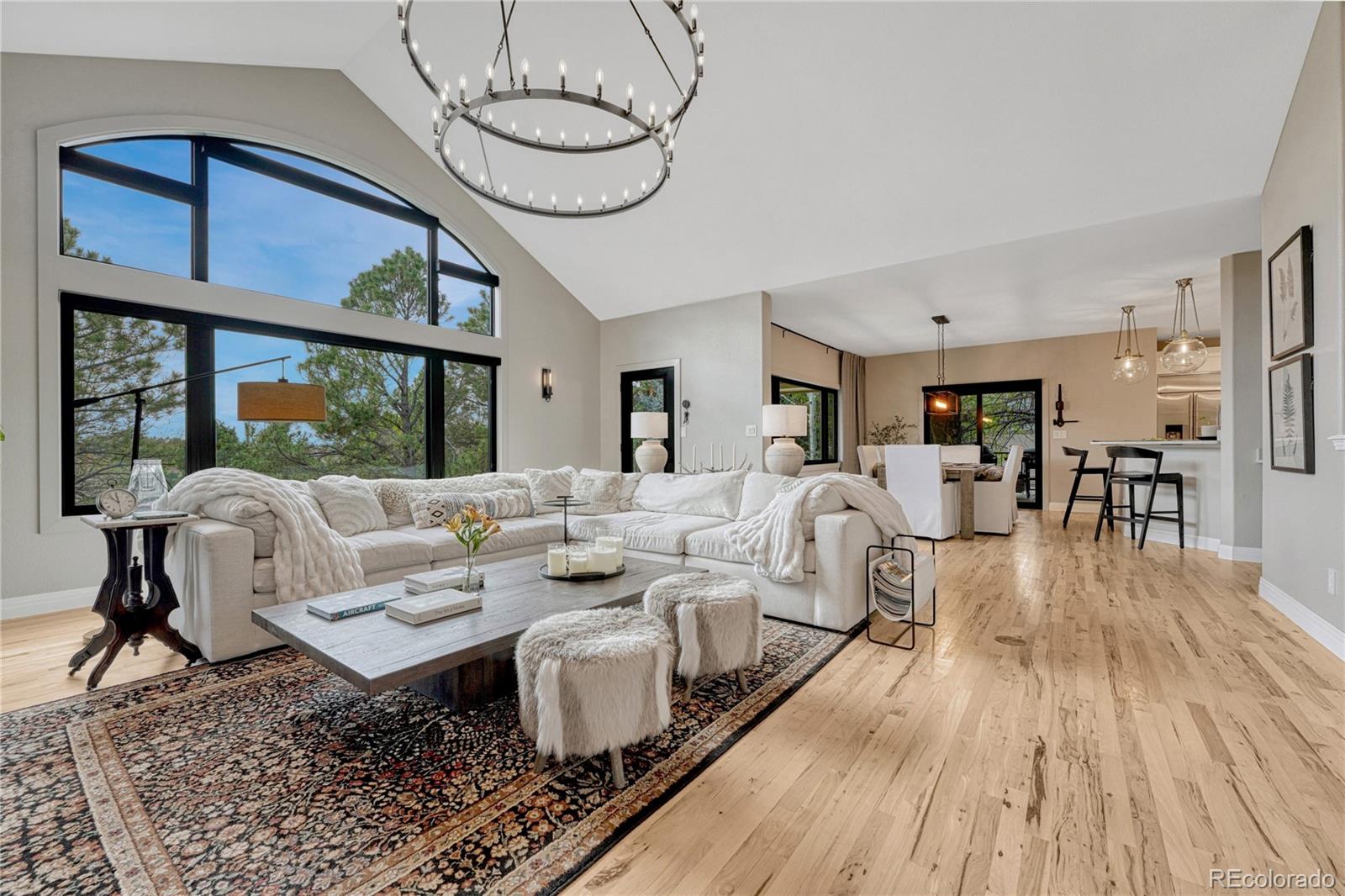 MLS Image #7 for 8422  gopher court,parker, Colorado