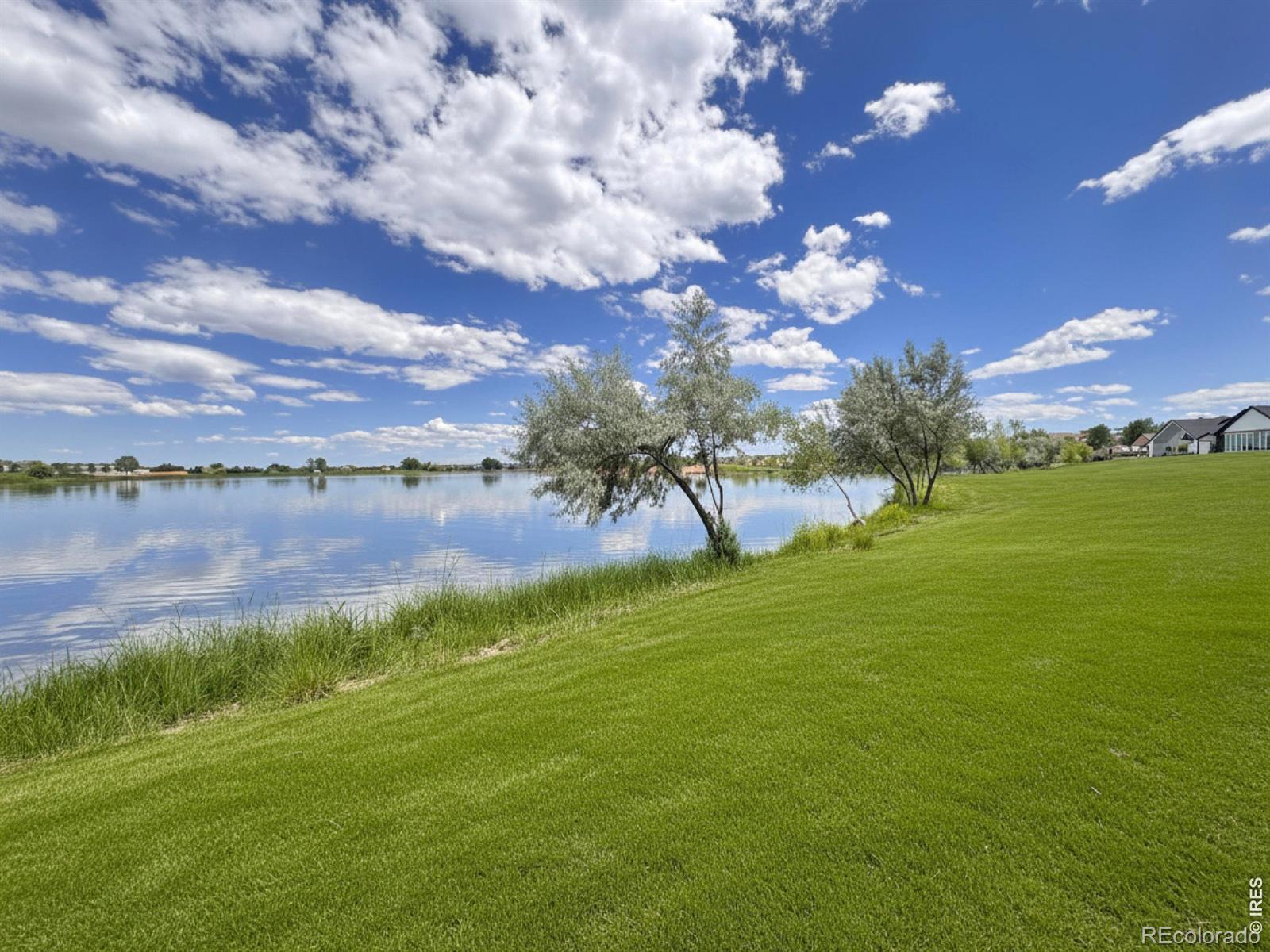 MLS Image #2 for 1727  barefoot drive,windsor, Colorado
