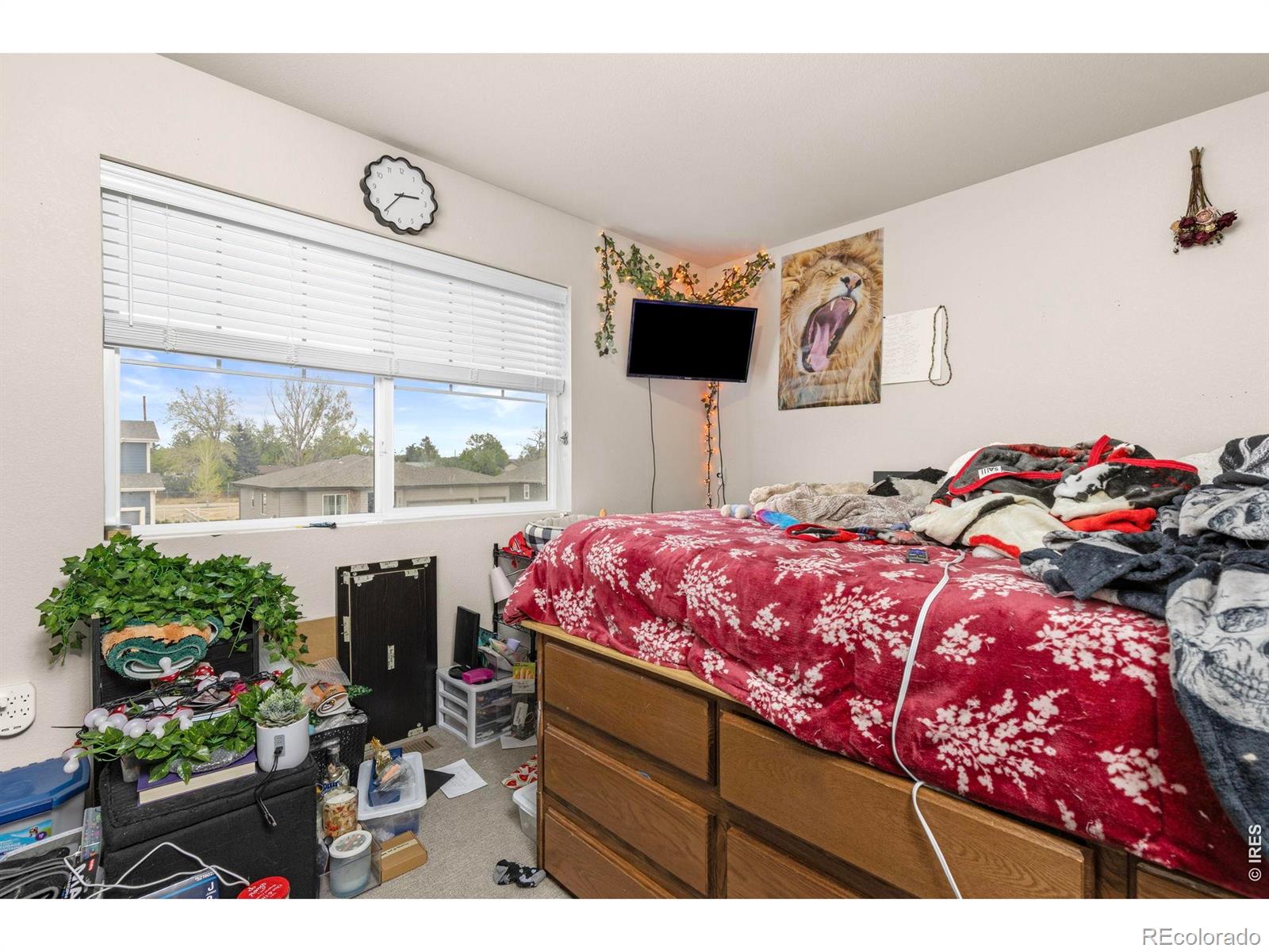 MLS Image #15 for 3801  beech tree street,wellington, Colorado