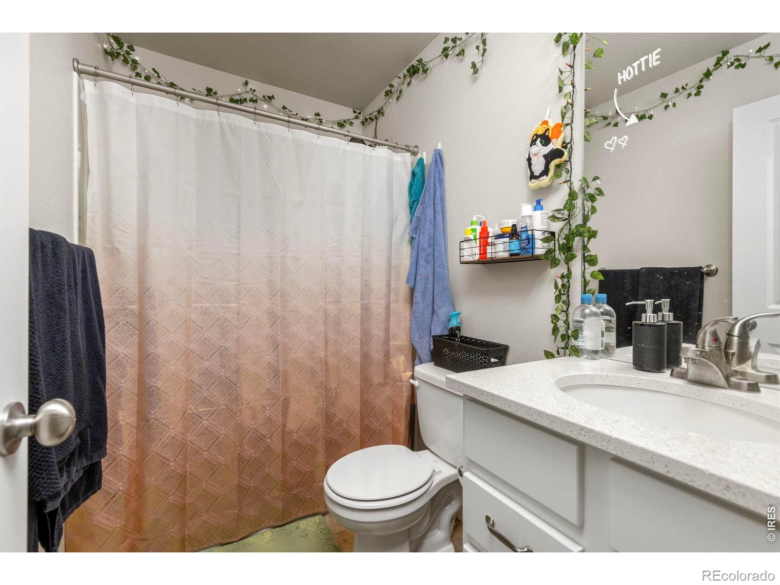 MLS Image #16 for 3801  beech tree street,wellington, Colorado