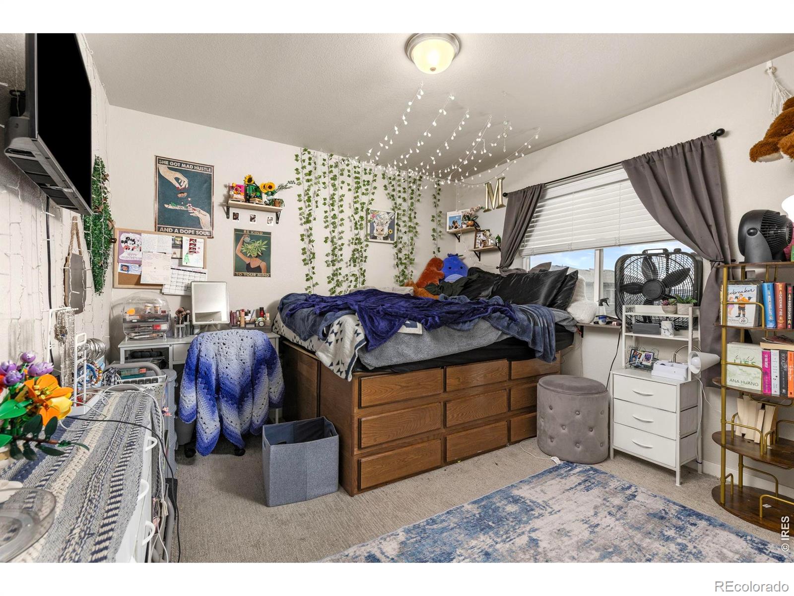 MLS Image #17 for 3801  beech tree street,wellington, Colorado