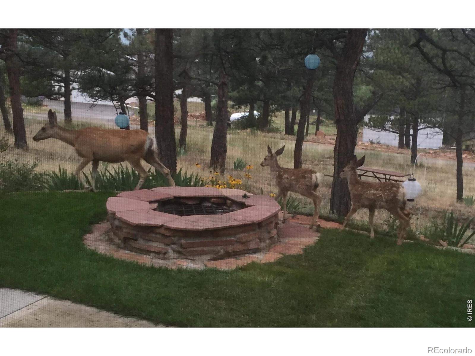 MLS Image #21 for 4000  fawn trail,loveland, Colorado