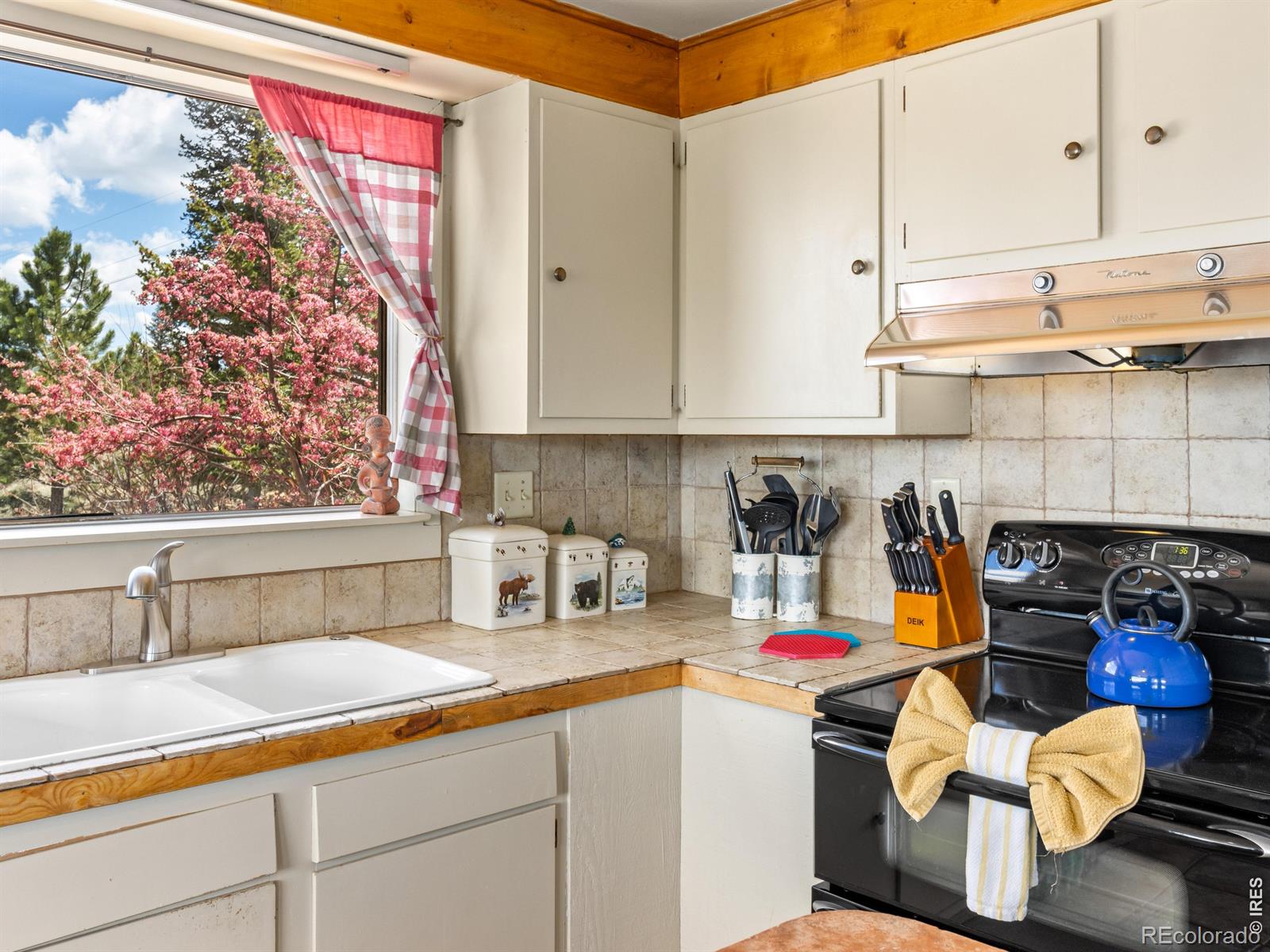 MLS Image #16 for 1251  giant track road,estes park, Colorado