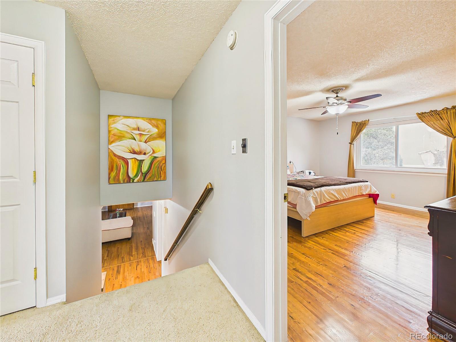 MLS Image #36 for 6417  dewsbury drive,colorado springs, Colorado