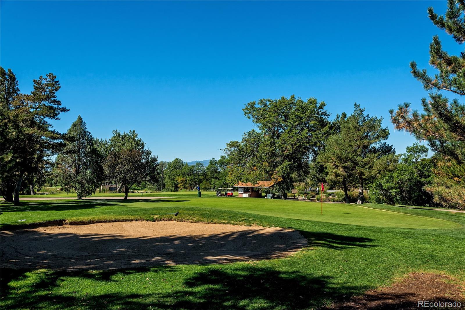 MLS Image #24 for 2876 s elm street,denver, Colorado
