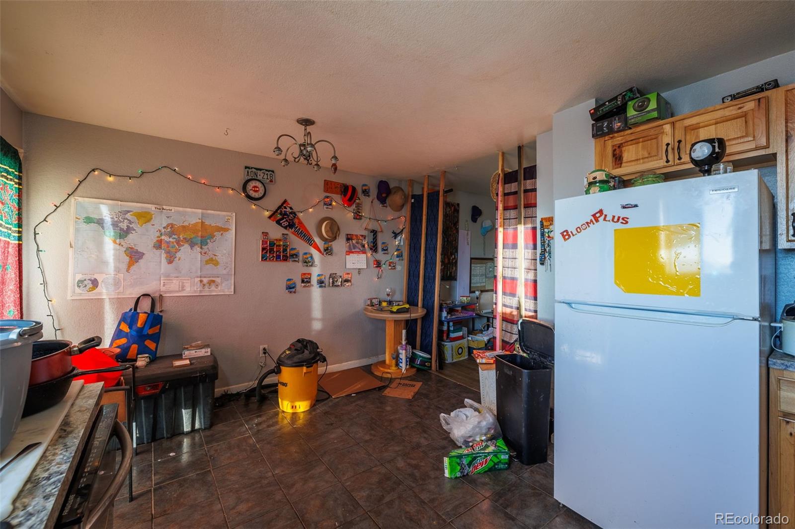 MLS Image #9 for 203  hayden street,cripple creek, Colorado