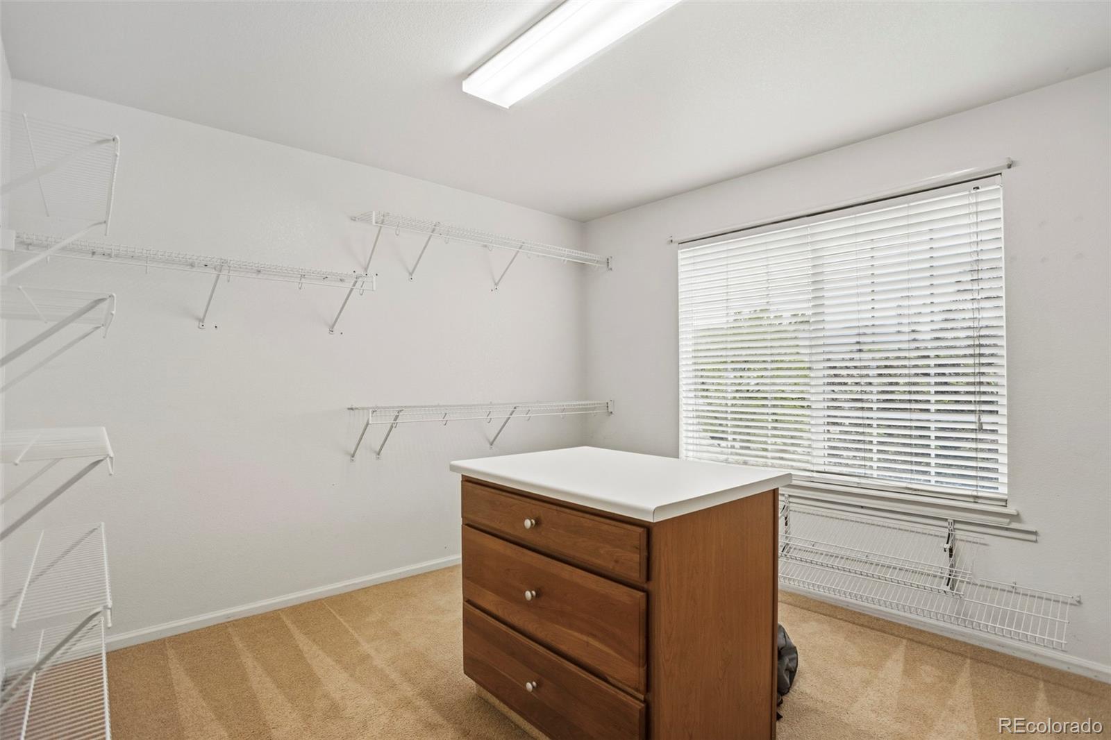 MLS Image #23 for 8404  snaffle bit court,littleton, Colorado