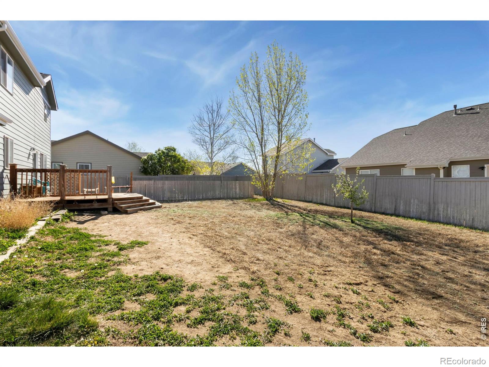 MLS Image #23 for 3211  white buffalo drive,wellington, Colorado