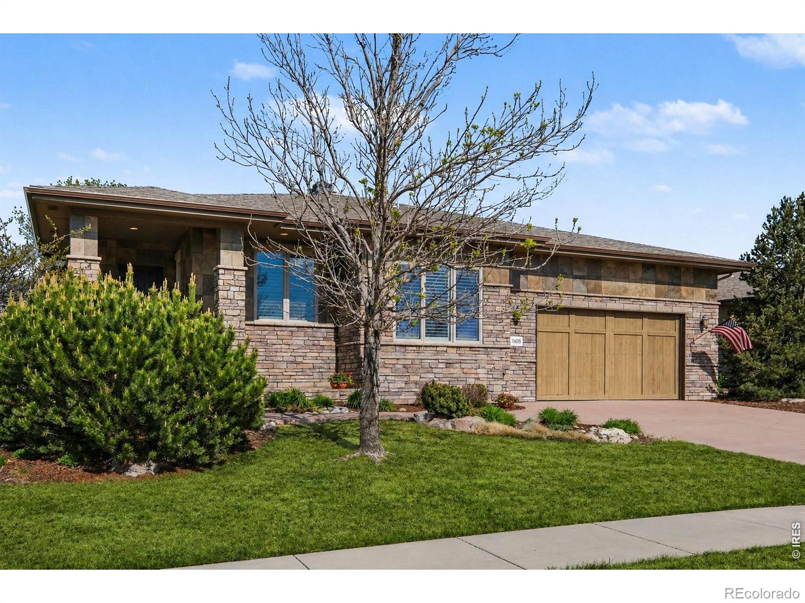 MLS Image #1 for 3628  bidens gate drive,timnath, Colorado