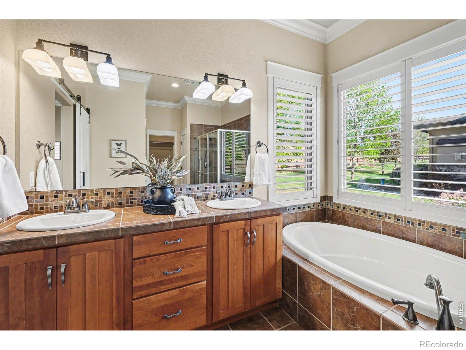MLS Image #22 for 3628  bidens gate drive,timnath, Colorado