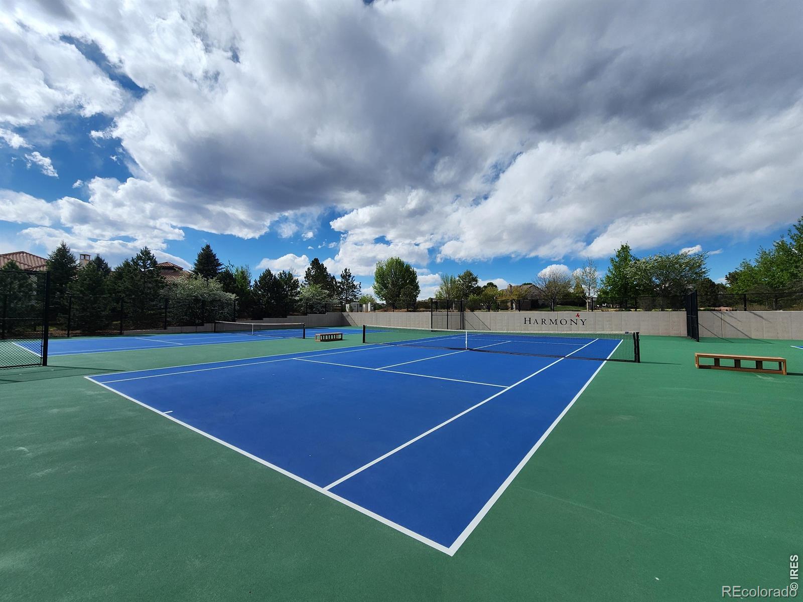 MLS Image #48 for 3628  bidens gate drive,timnath, Colorado