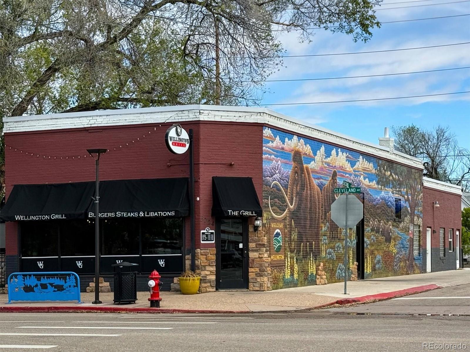 MLS Image #18 for 3708  roosevelt avenue,wellington, Colorado