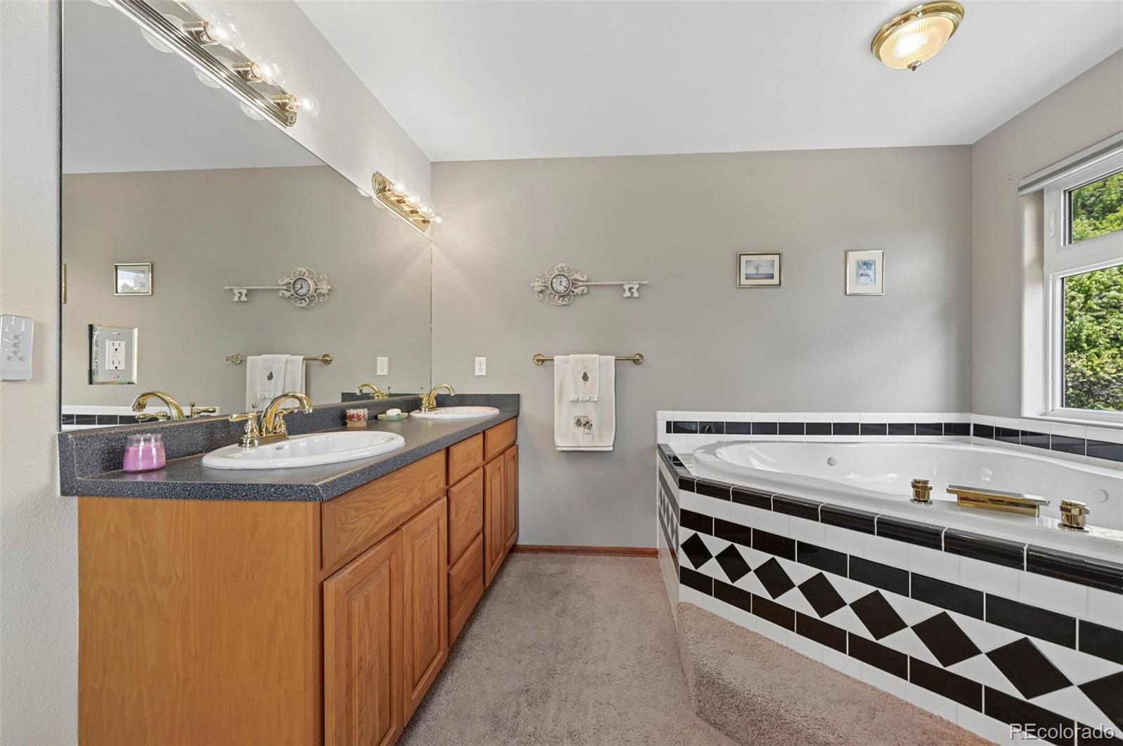 MLS Image #10 for 82  apache creek ,florissant, Colorado