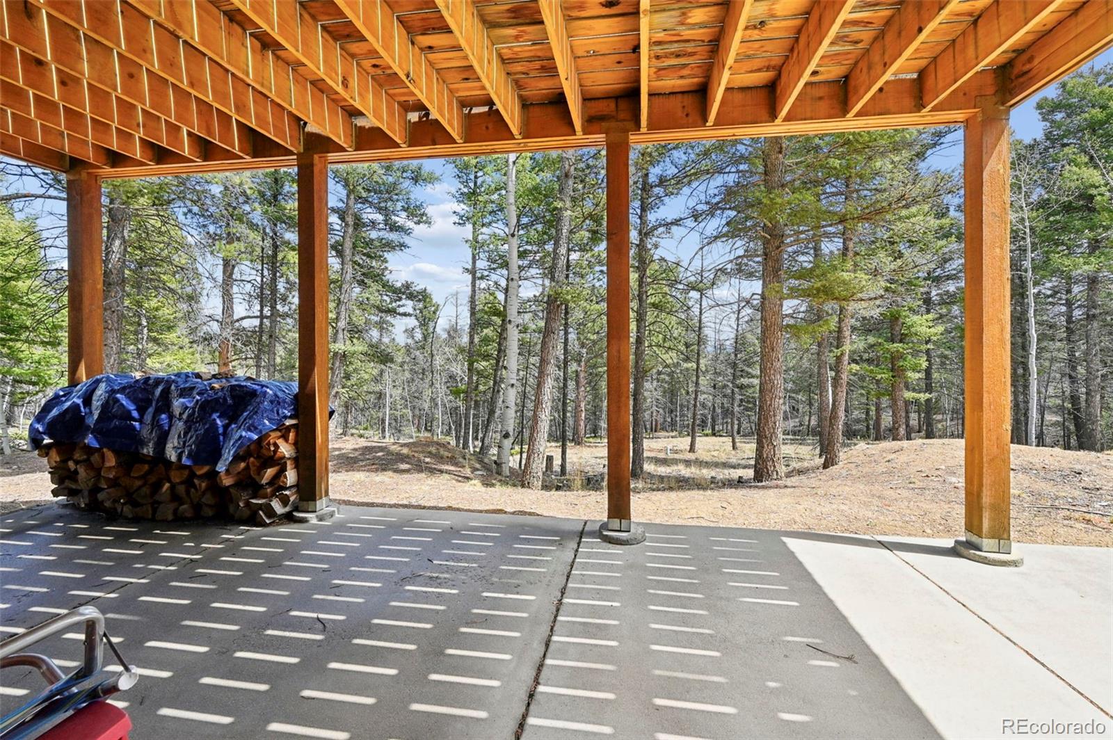 MLS Image #18 for 82  apache creek ,florissant, Colorado