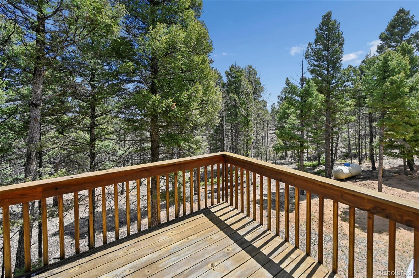 MLS Image #20 for 82  apache creek ,florissant, Colorado