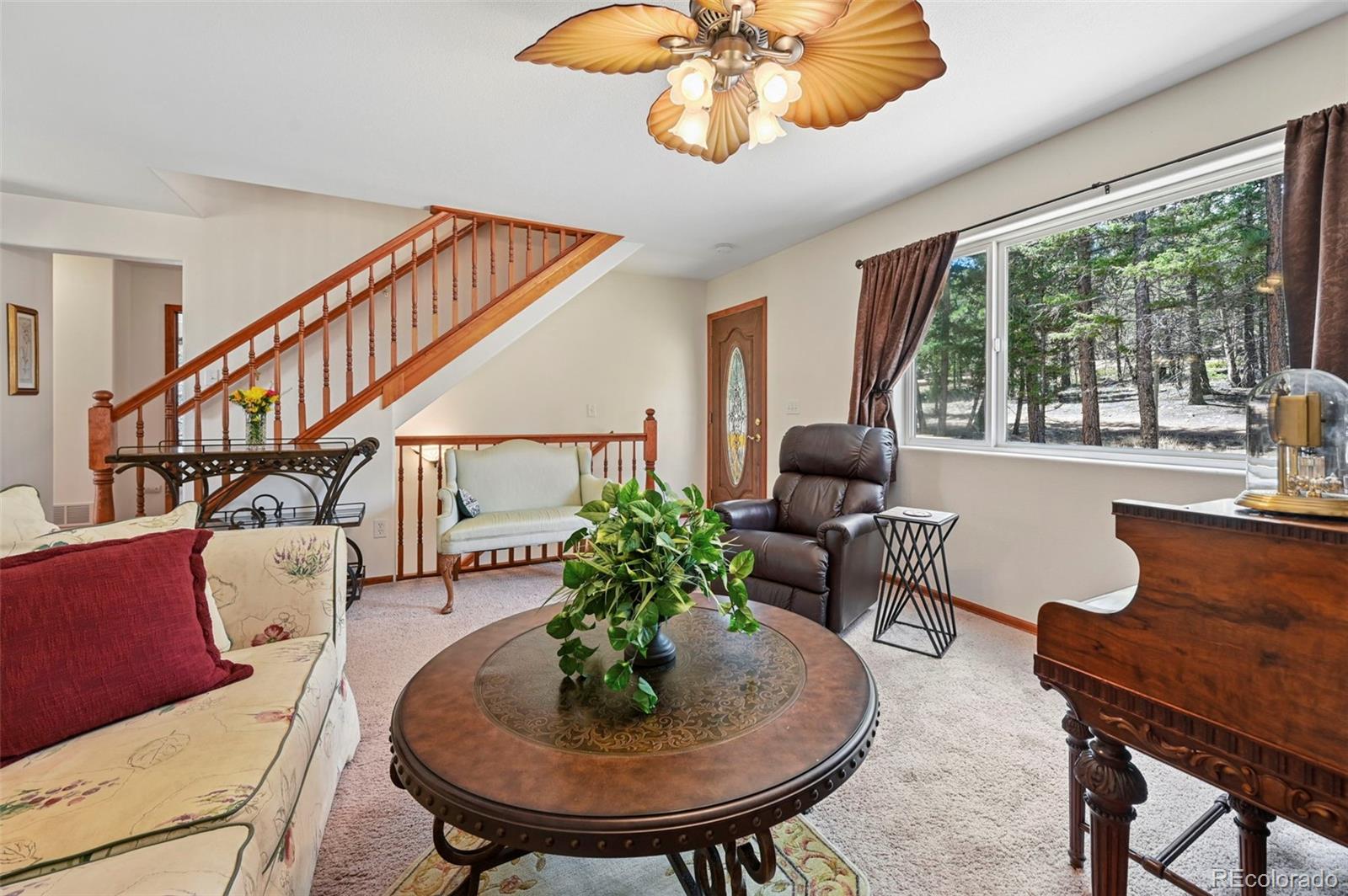 MLS Image #6 for 82  apache creek ,florissant, Colorado