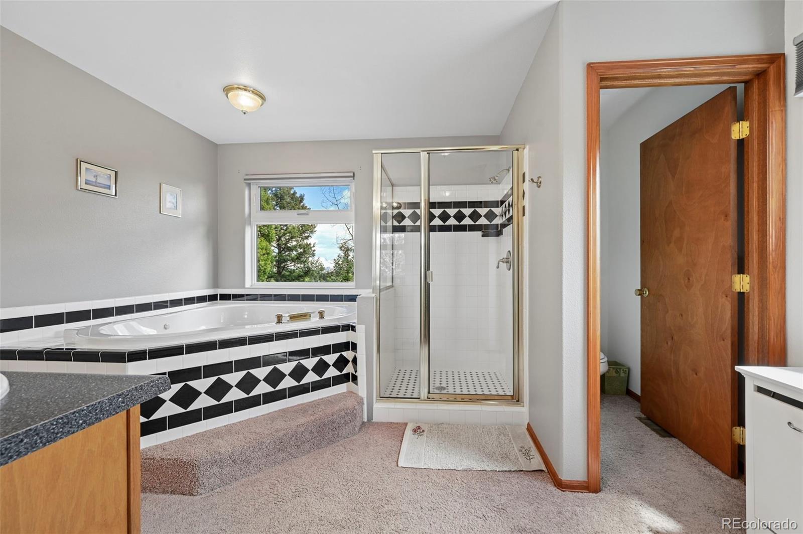 MLS Image #8 for 82  apache creek ,florissant, Colorado