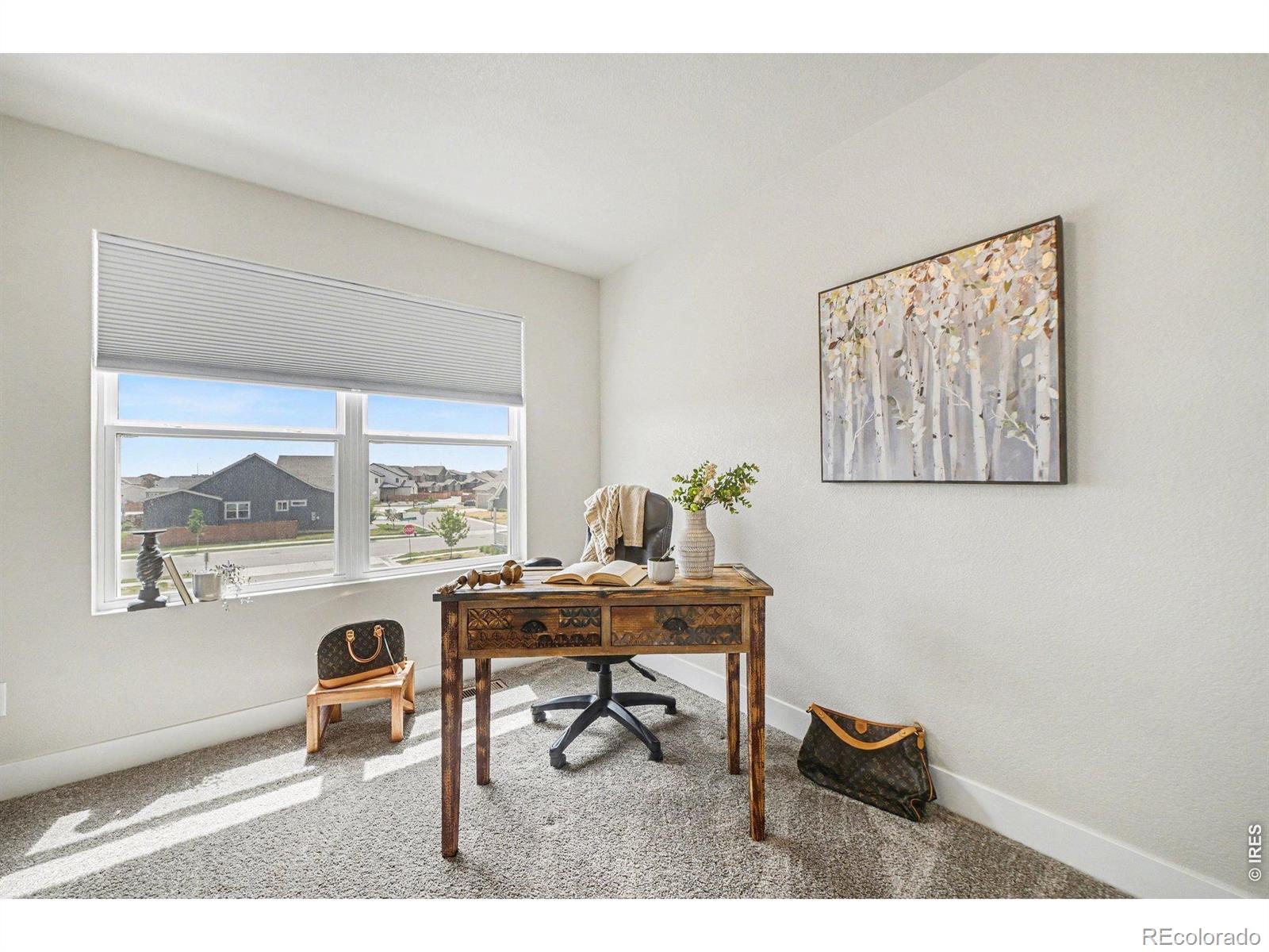 MLS Image #13 for 4984  goya court,loveland, Colorado