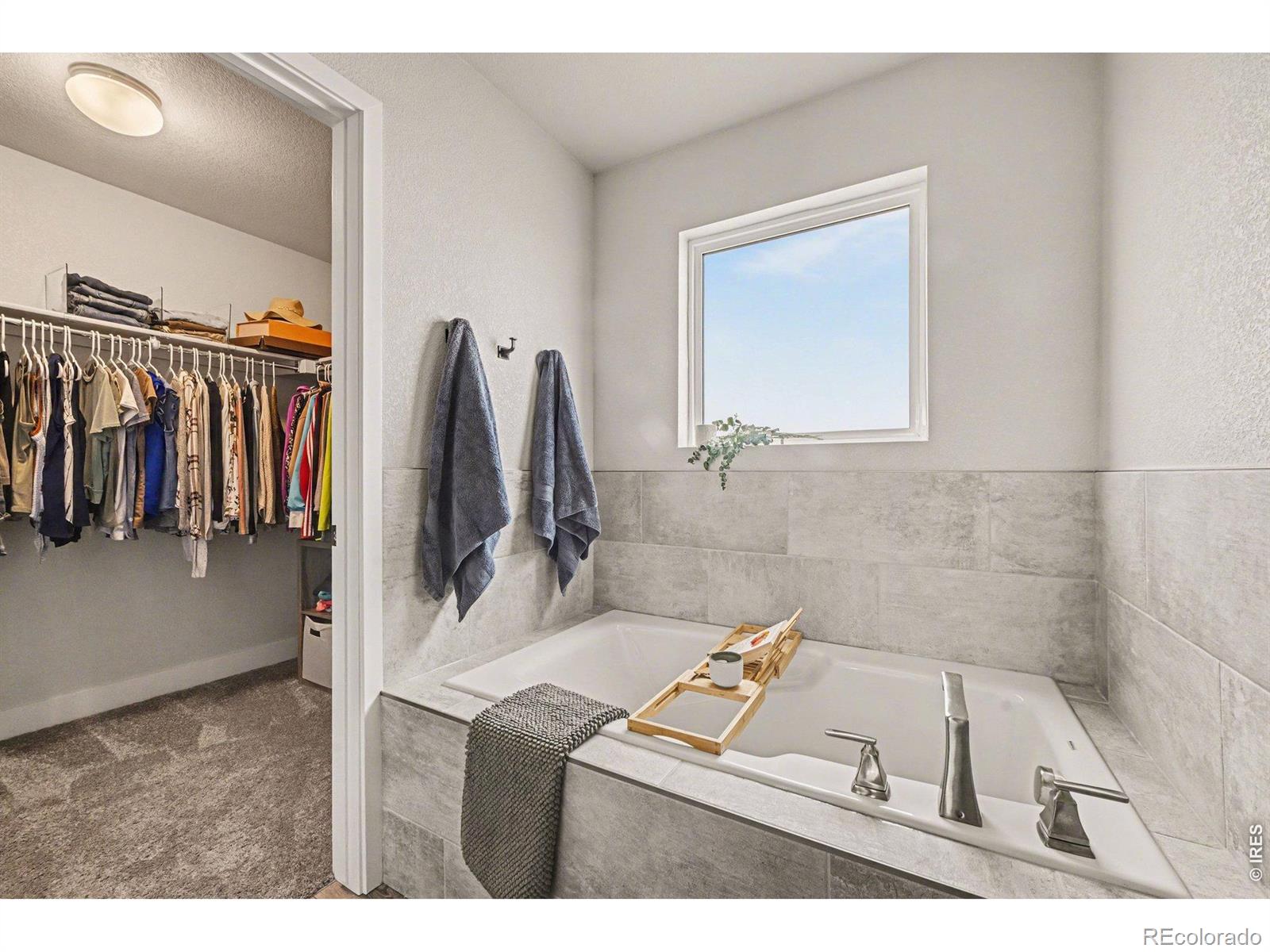 MLS Image #15 for 4984  goya court,loveland, Colorado