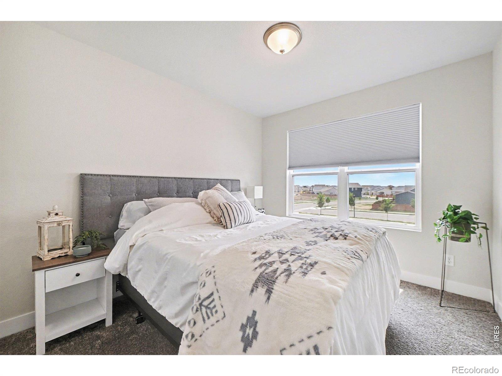 MLS Image #8 for 4984  goya court,loveland, Colorado