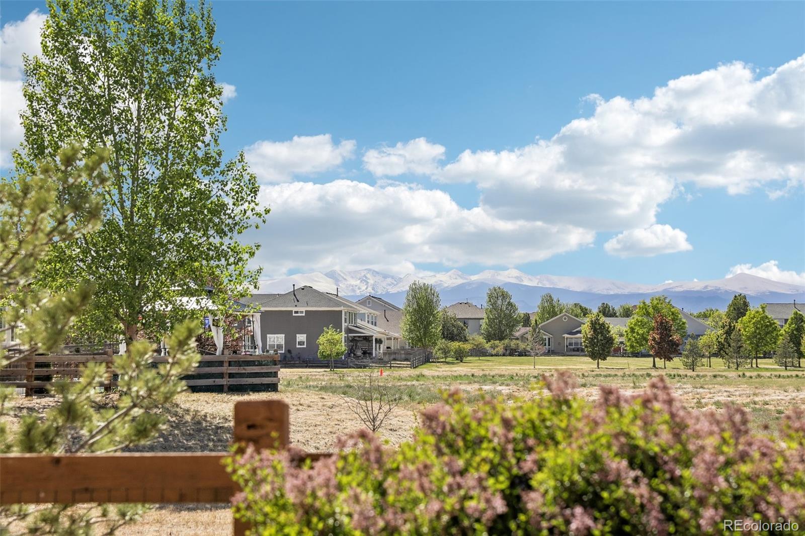 MLS Image #32 for 6325  empire avenue,frederick, Colorado