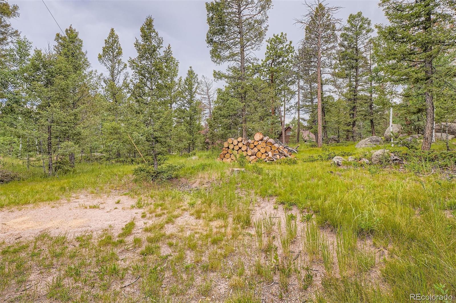 MLS Image #4 for 30520  rand road,conifer, Colorado