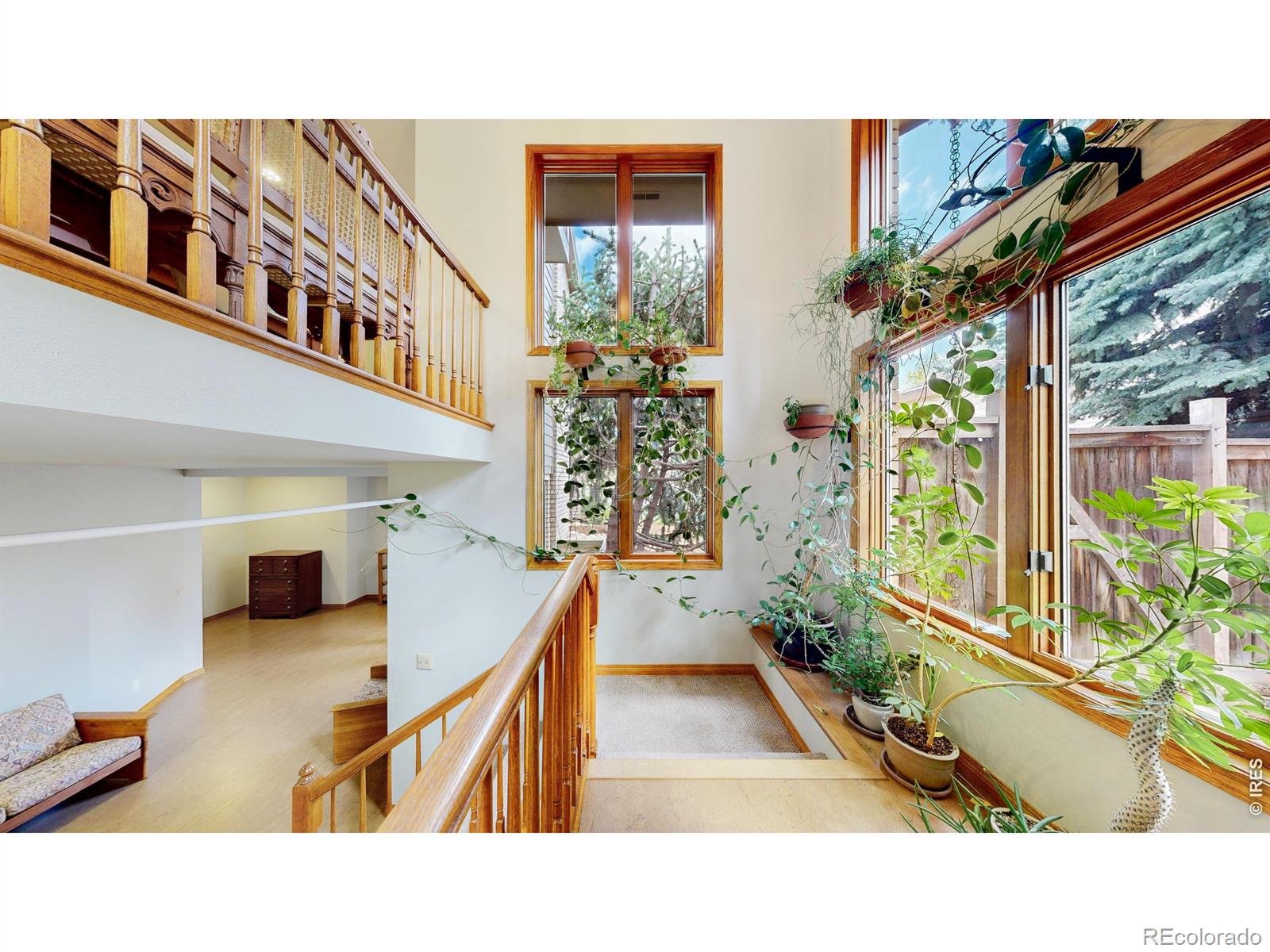 MLS Image #30 for 4813  hinsdale drive,fort collins, Colorado